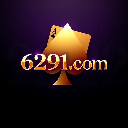 6291.com